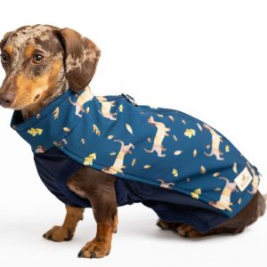 Herbst Dackelmantel - Dackelliebe Dackelkleidung, dackelmantel, dackelmantel herbst, dackelkleidung herbst, dackelmantel softshell, dackelmantel wasserabweisend